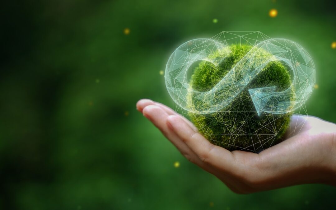 Zero-Landfill Living: Top Sustainable Practices to Make an Impact Today