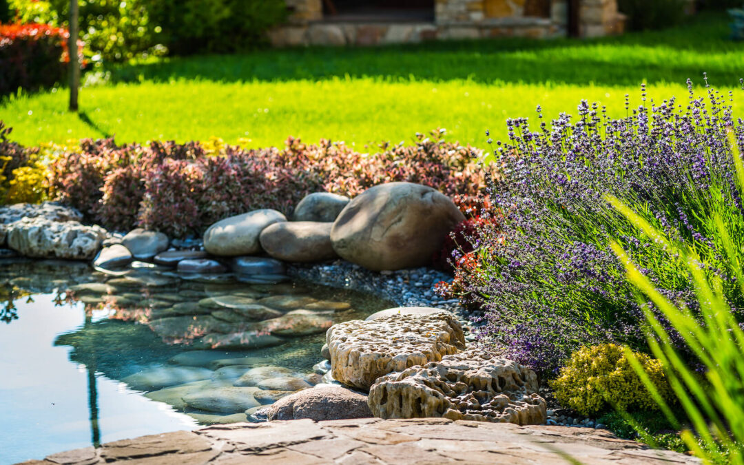How to Build a Low-Maintenance Pond That Looks Great Year-Round