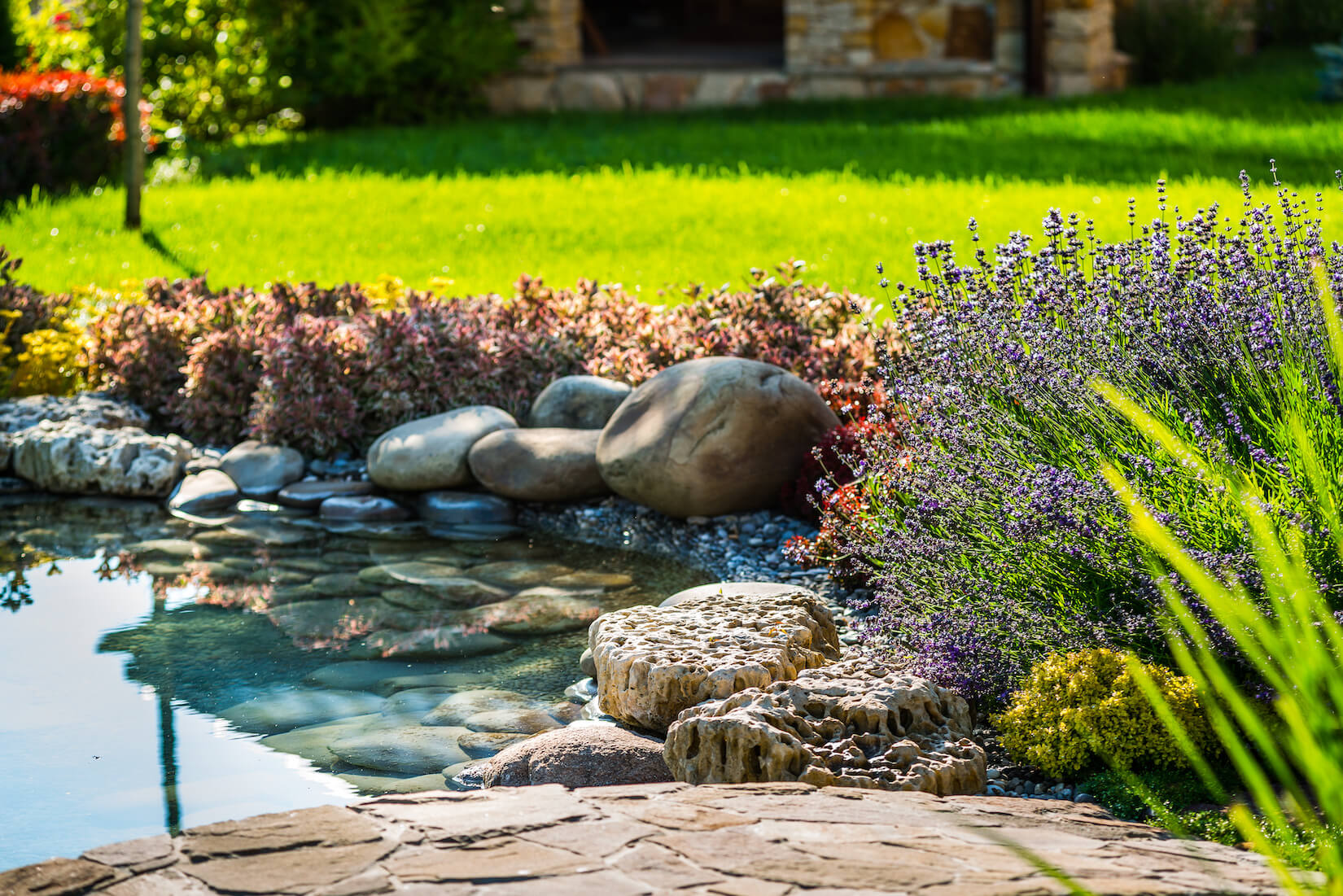 low maintenance pond