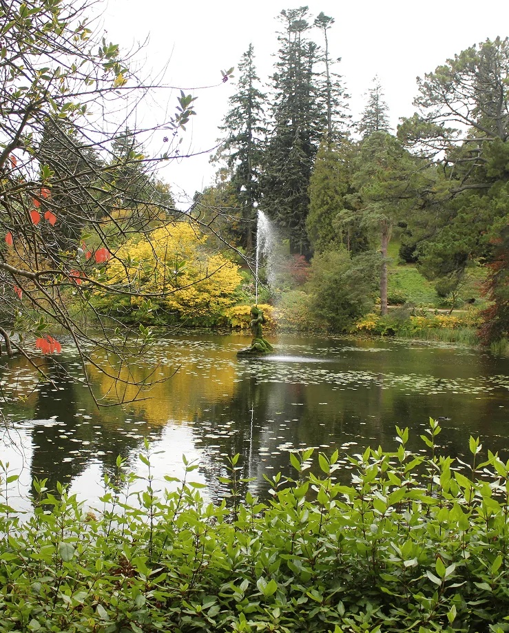 pond builder