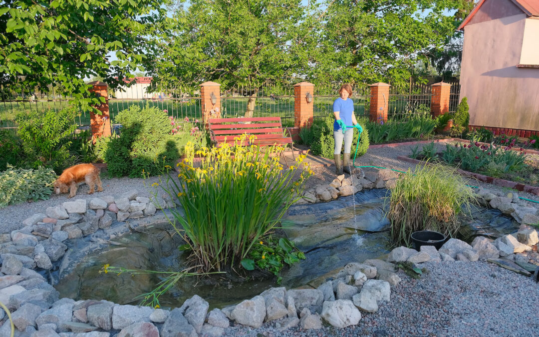 What Maintenance Is Required for a Pond? A Season-by-Season Guide to Pond Care