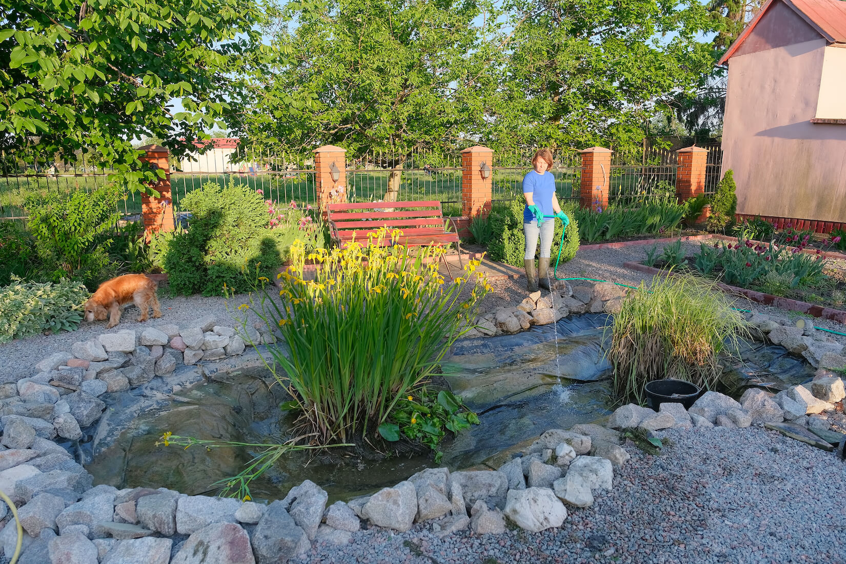 pond cleaning and maintenance