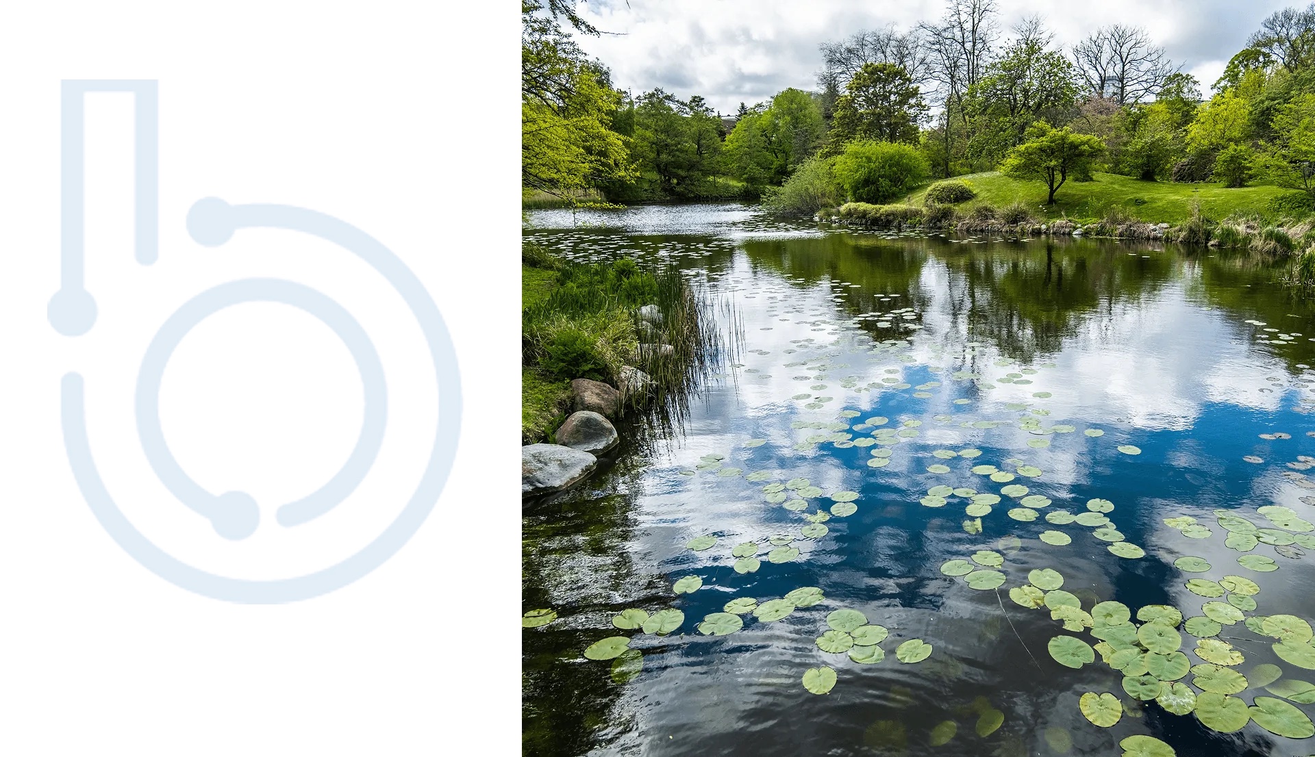 pond cleaning services