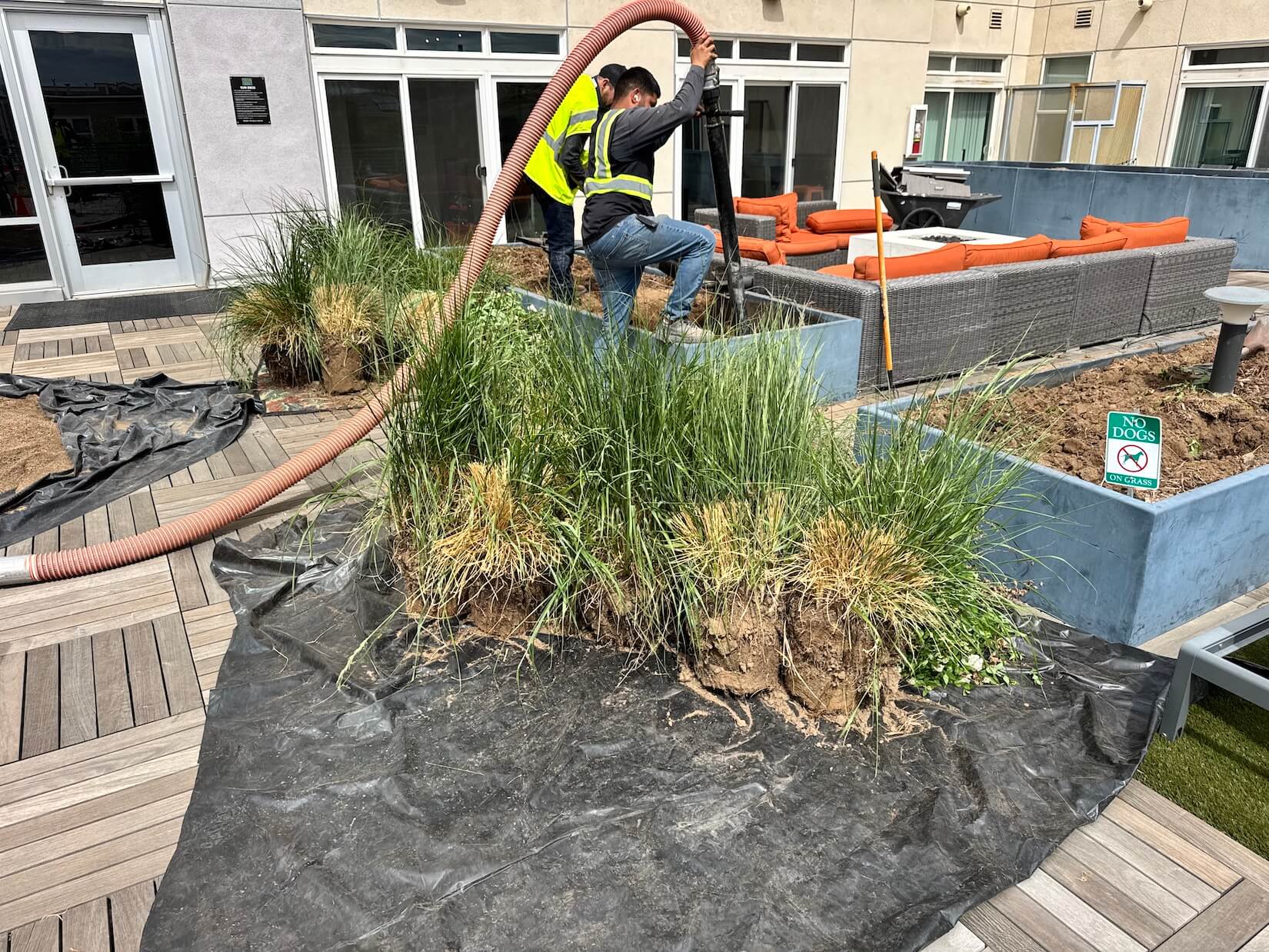 biolein hydrovac garden soil