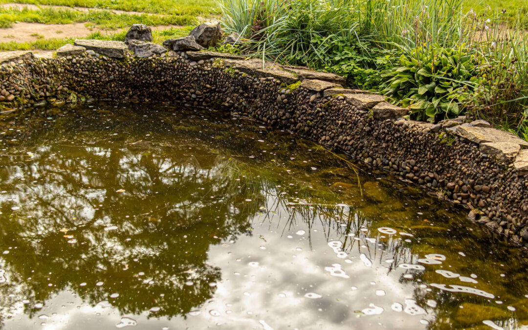 The Dangers of a Stagnant Pond and Stagnant Water: What Property Owners Need to Know