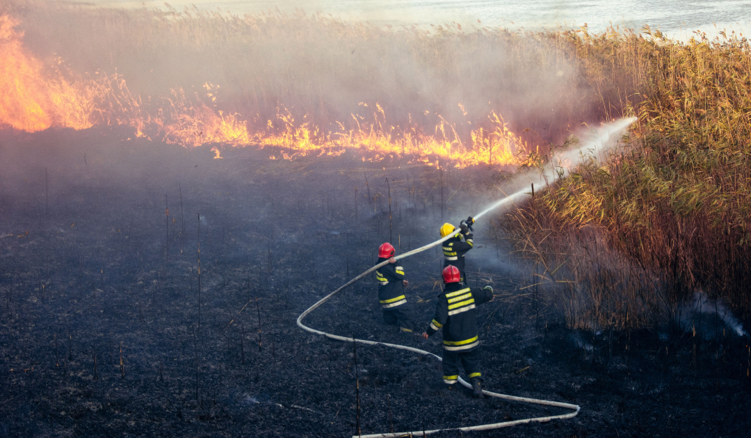 From Spill to Clean: What Happens During an Emergency Environmental Response