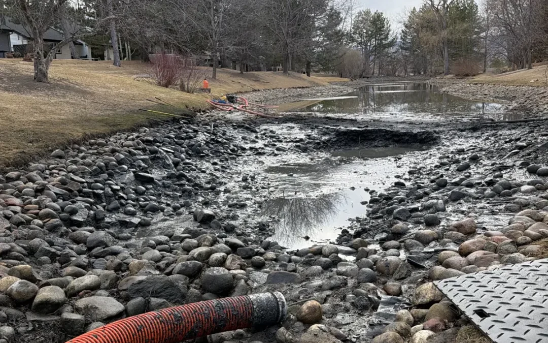 Colorado Water Rights and Your Pond: What Every Property Owner Should Verify